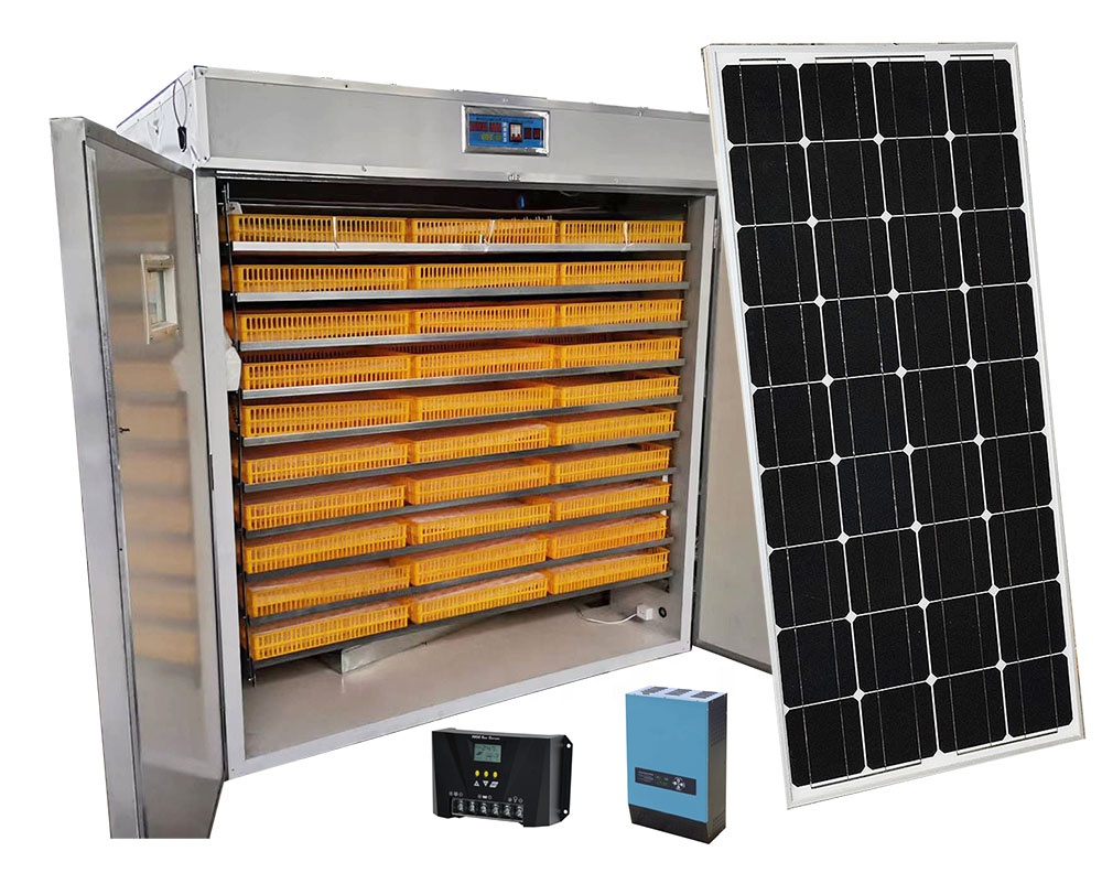 5000 Eggs   Machines for Small - Lab Incubator ulasan dan harga