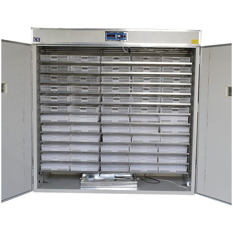 5000 Eggs   Machines for Small - Lab Incubator ulasan dan harga