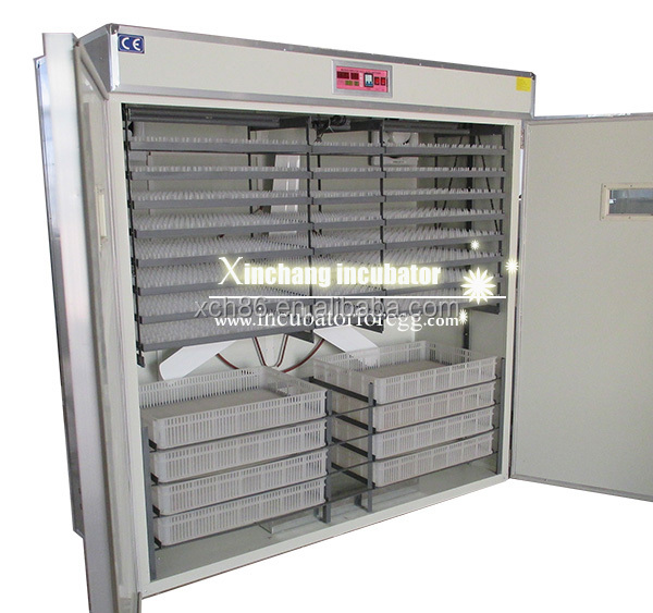 5000 Eggs   Machines for Small - Lab Incubator ulasan dan harga